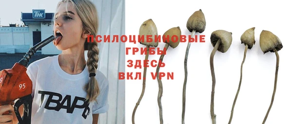 прущий лед Майский