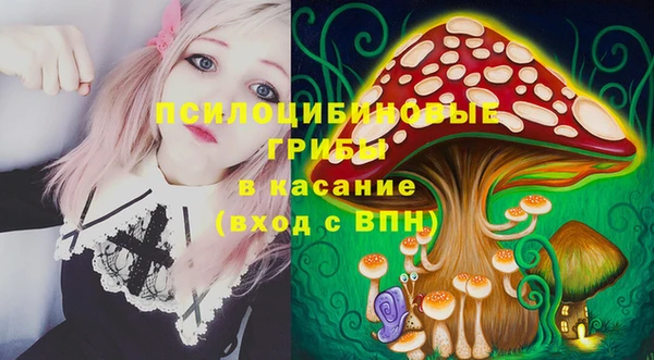 бошки Медвежьегорск
